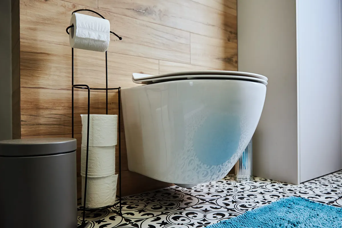 Wall-mounted toilet