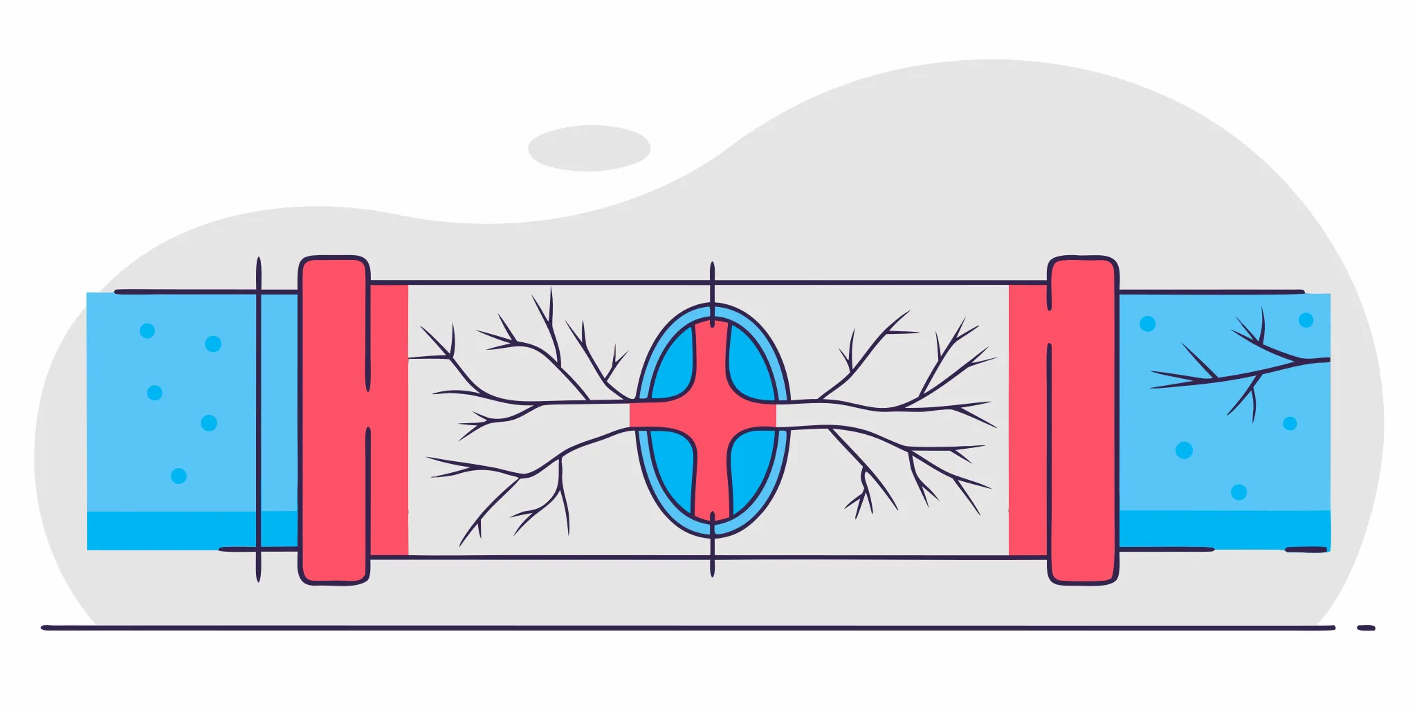 Tree roots growing into a sewer pipe cross-section, illustrating a common cause of sewer line damage in Florida homes